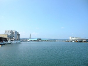 dscn3661-800x600