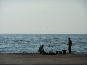 dscn3714-800x600