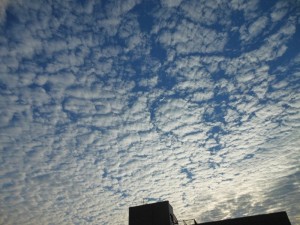dscn3768-800x600