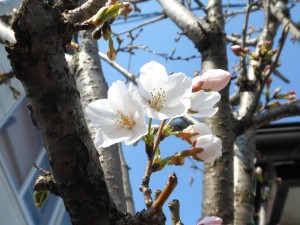 dscn4338