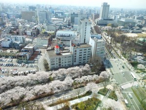 dscn4358-800x600