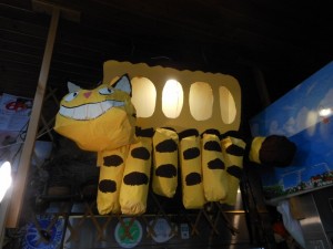 dscn4460-800x600