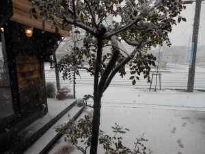 dscn4874-800x600