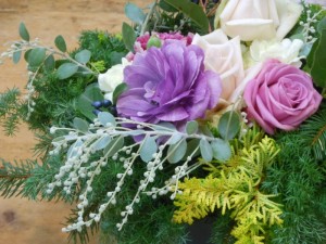 dscn4966-800x600