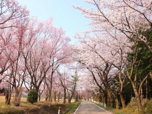 f3e2b346-3593-4fce-a4d0-91f26a2bfe27