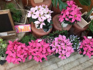 fd025cd7-0cec-4f74-a225-0d25dd4186d4
