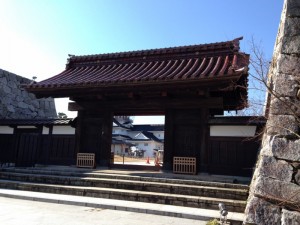 img_0402-800x600