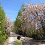 img_1668-800x600