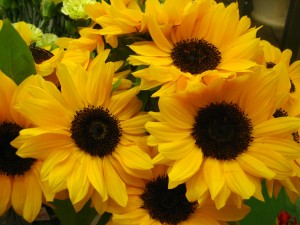 img_5852