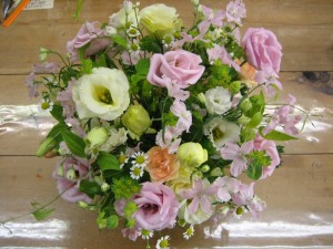 img_6593-800x600