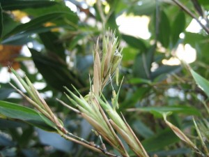 img_6607-800x600
