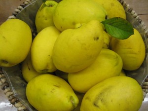 img_6622-800x600