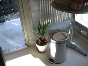 img_6629-800x600