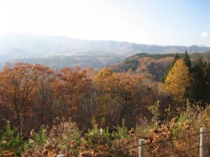 img_6670-800x600