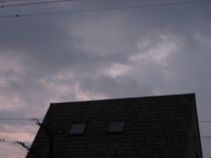 img_6725-800x600