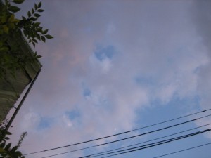 img_6823-800x600