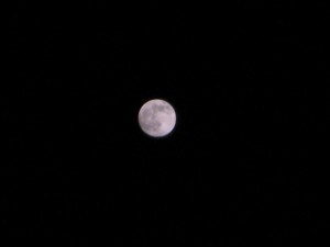 img_6861-800x600
