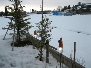img_6955-800x600
