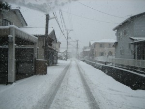 img_7031-800x600