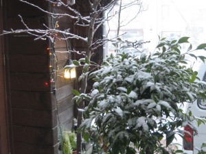 img_7122-800x600