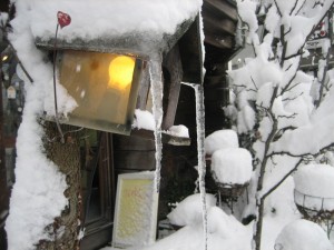 img_7126-800x600