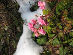 img_7134-800x600