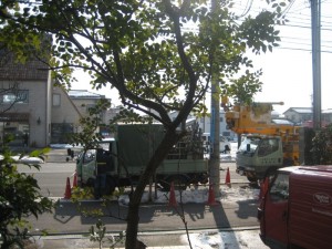 img_7138-800x600