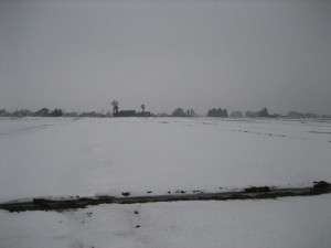 img_7158a