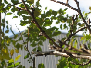img_7181