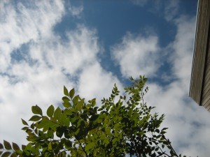 img_7182