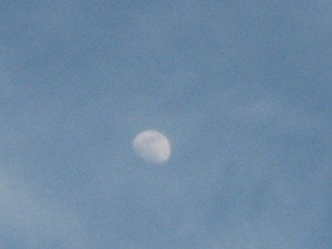 img_7532
