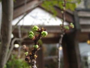 img_7616