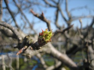img_7675