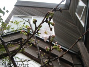 img_7742