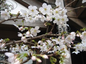 img_7771
