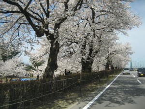 img_7805
