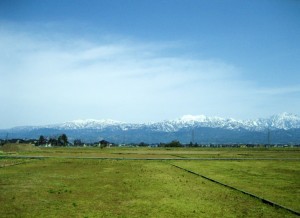img_7808