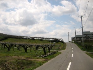 img_7861