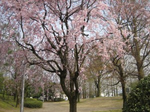 img_7905