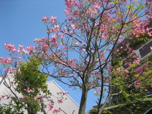 img_8012