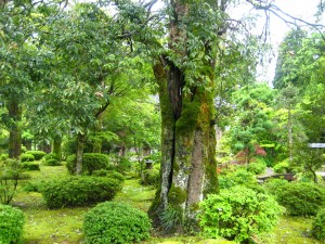 img_8214