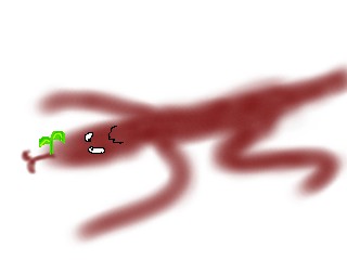 doro.jpg