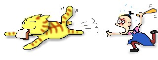 neko11.jpg