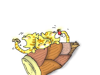 neko6.jpg