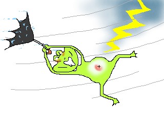 ooare.jpg