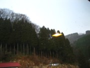 IMG_2415.jpg