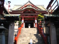IMG_2490.jpg