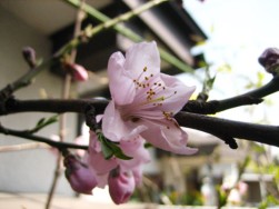 IMG_2618.jpg
