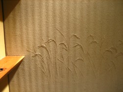 IMG_2776.jpg