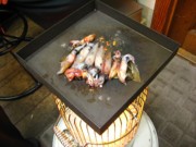 IMG_2943.jpg